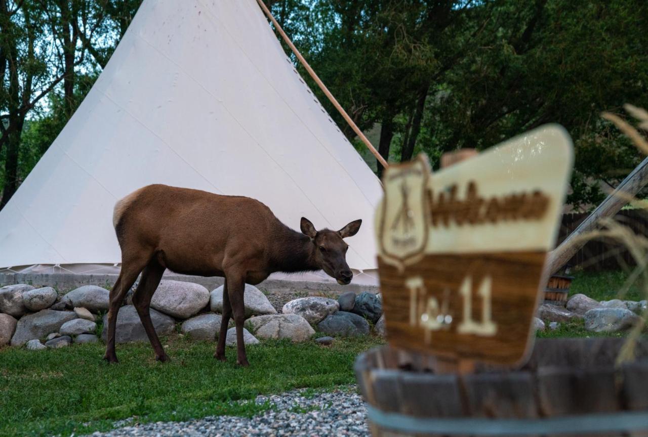 Dreamcatcher Tipi Hotel Gardiner Exteriér fotografie