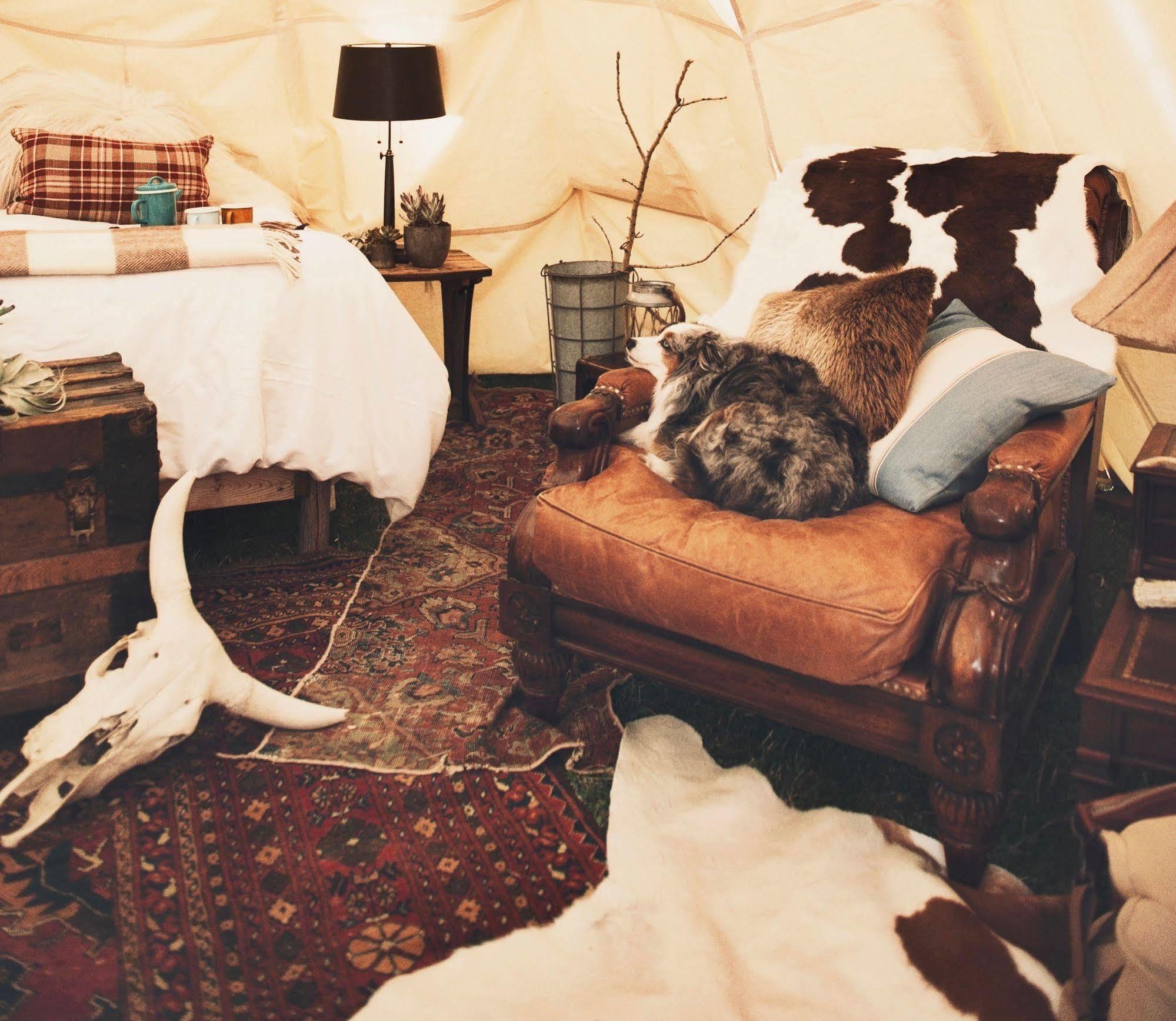 Dreamcatcher Tipi Hotel Gardiner Exteriér fotografie